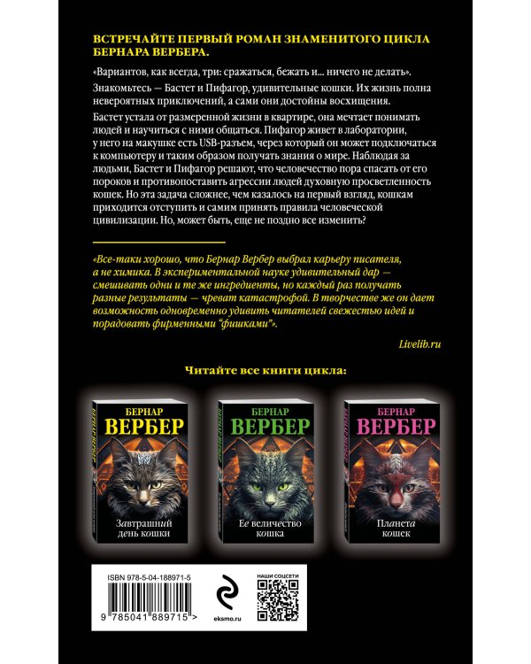 Завтрашний день кошки