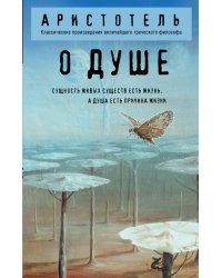 О душе