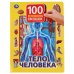 Обложка книги «"УМКА". ТЕЛО ЧЕЛОВЕКА. 100 ОКОШЕК ДЛЯ МАЛЫШЕЙ. ФОРМАТ: 222Х282 ММ. ОБЪЕМ: 12 КАРТ. СТР. в кор.12шт», ISBN 9785506037583
