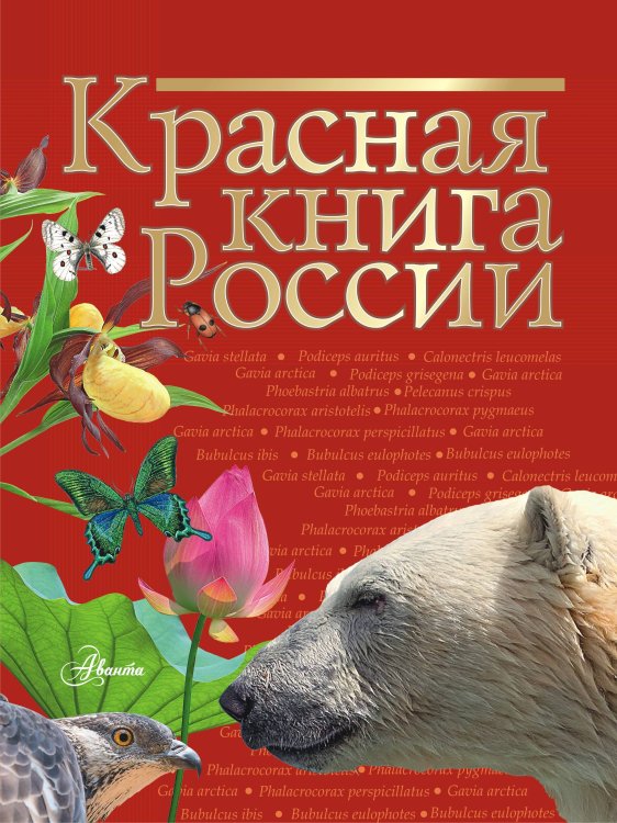 Красная книга нашей планеты Красная книга России