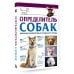 Самый полный определитель Определитель собак. Физические характеристики и особеннности породы
