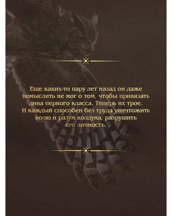 Дополнительное изображение книги «Тайна мертвого ректора. Книга 1»
