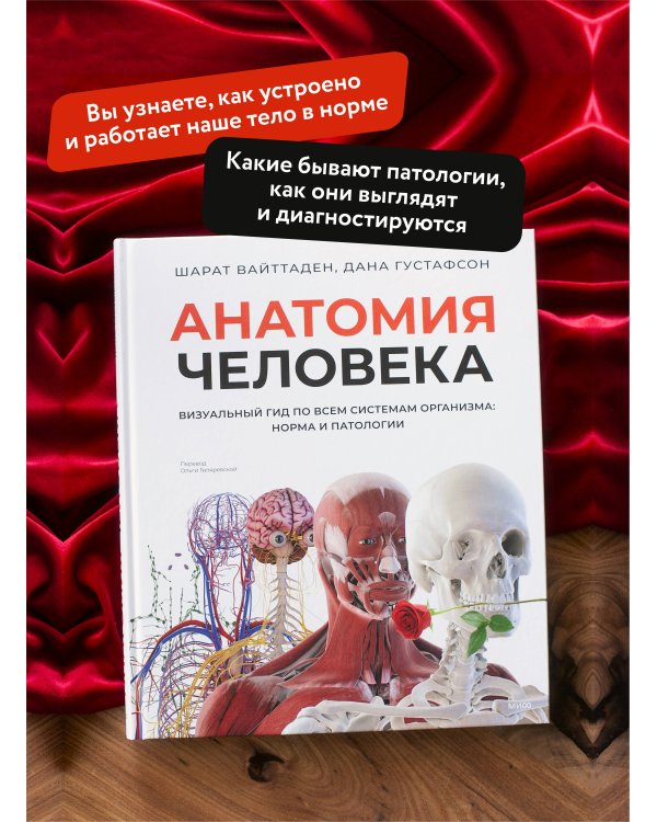 Анатомия человека. Визуальный гид по всем системам организма: норма и патологии