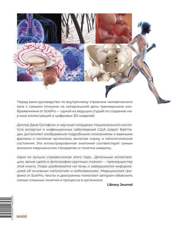 Анатомия человека. Визуальный гид по всем системам организма: норма и патологии