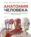 Анатомия человека. Визуальный гид по всем системам организма: норма и патологии