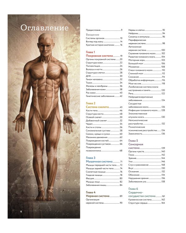 Анатомия человека. Визуальный гид по всем системам организма: норма и патологии