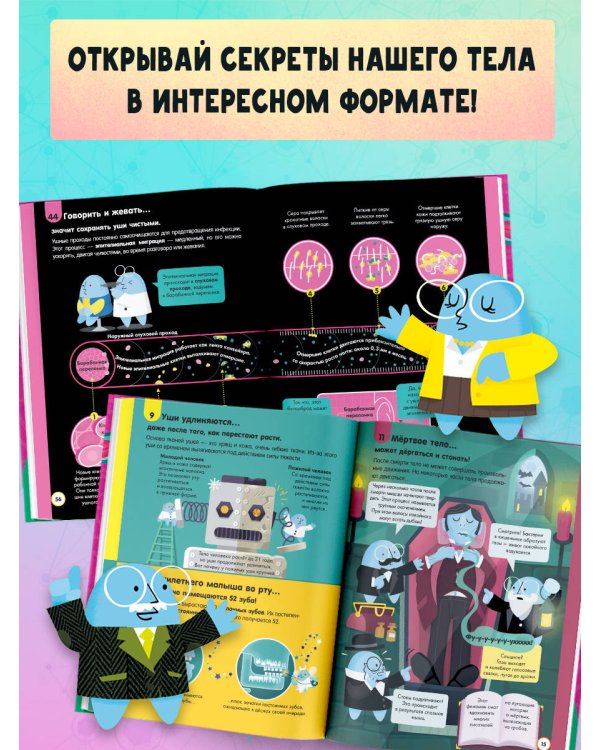 100 любопытных почему о теле человека