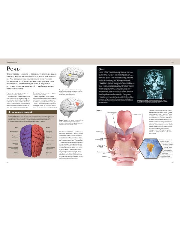 Анатомия человека. Визуальный гид по всем системам организма: норма и патологии