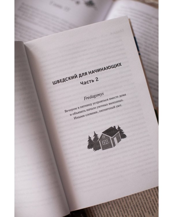 Чисто шведские убийства. Деревушка с секретами