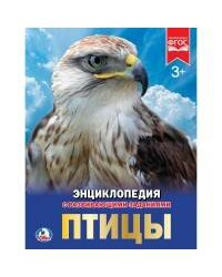 ПТИЦЫ (ЭНЦИКЛОПЕДИЯ А4). ТВЕРДЫЙ ПЕРЕПЛЕТ. БУМАГА МЕЛ., 48 стр., 197Х255 ММ. в кор.15шт
