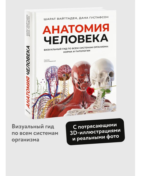 Анатомия человека. Визуальный гид по всем системам организма: норма и патологии