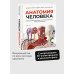 Анатомия человека. Визуальный гид по всем системам организма: норма и патологии
