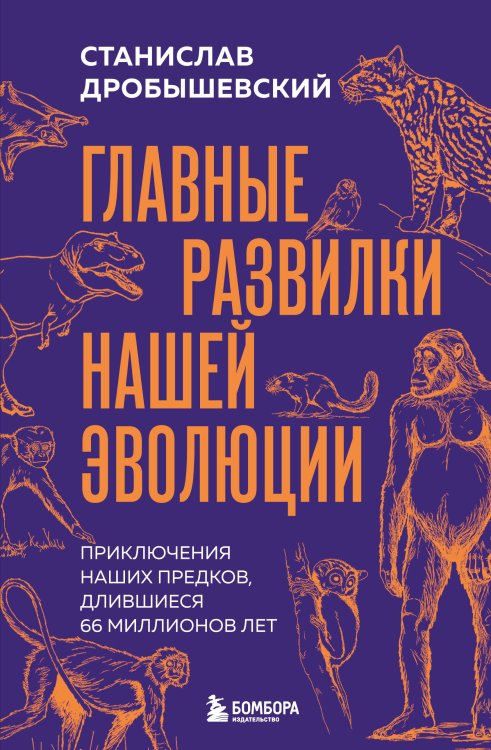 Обложка книги «Главные развилки нашей эволюции. Приключения наших предков, длившиеся 66 миллионов лет» — Дробышевский Станислав Владимирович, ISBN 9785042299186