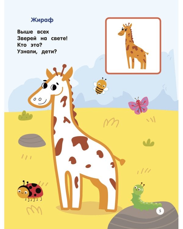 Зоопарк. Раскраски по образцу