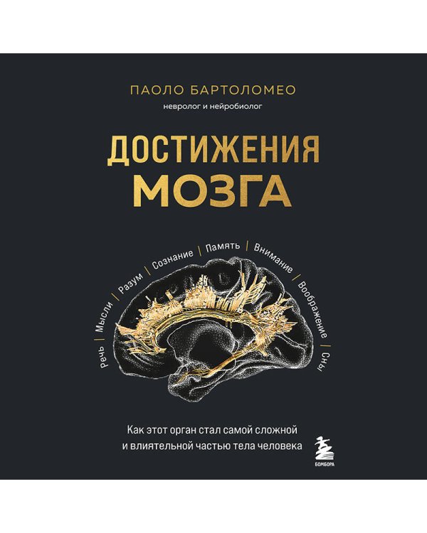 Достижения мозга. Как этот орган стал самой сложной и влиятельной частью тела человека