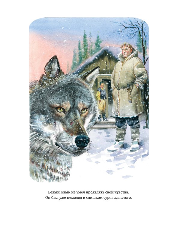Белый Клык (ил. В. Канивца)