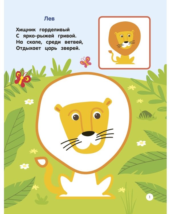 Зоопарк. Раскраски по образцу