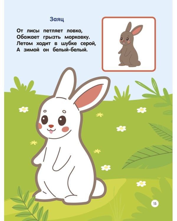 Зоопарк. Раскраски по образцу