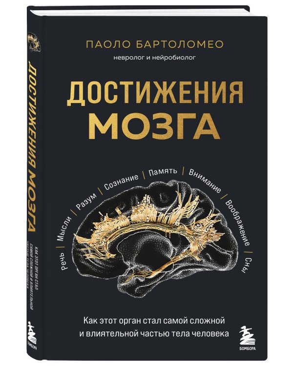 Достижения мозга. Как этот орган стал самой сложной и влиятельной частью тела человека