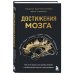 Достижения мозга. Как этот орган стал самой сложной и влиятельной частью тела человека