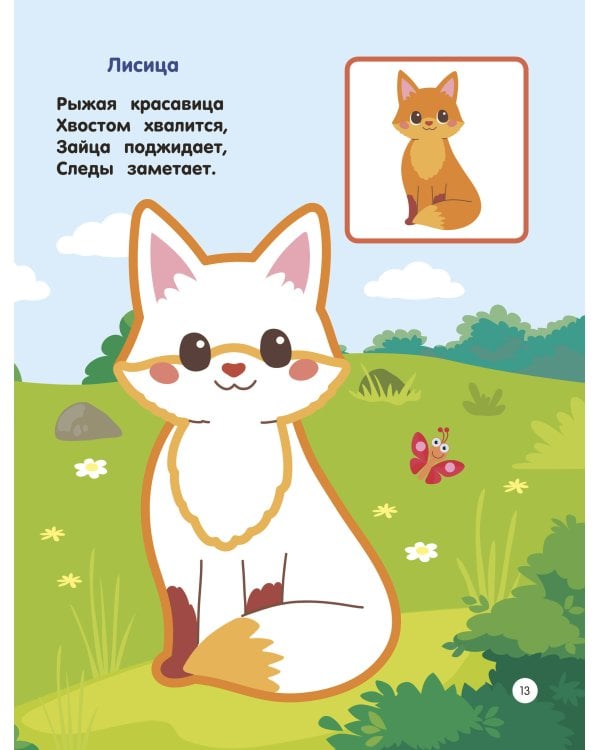 Зоопарк. Раскраски по образцу