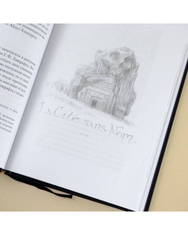 Безымянный город с иллюстрациями Армеля Гольма