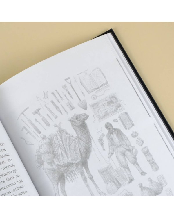 Безымянный город с иллюстрациями Армеля Гольма