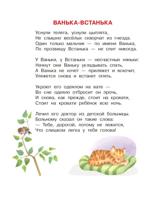 Большой карман