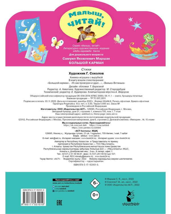 Большой карман