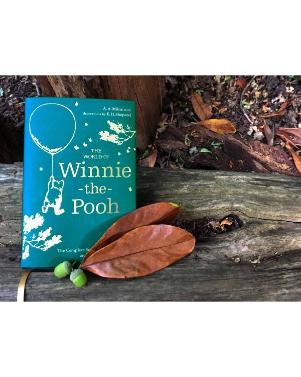 Дополнительное изображение книги «Winnie the Pooh: The world of Winnie the Pooh (A. Milne)  Винни Пух: мир Винни Пуха (А.Милн) /Книги на английском языке»