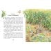 Дополнительное изображение книги «Похищение в кукурузном поле»