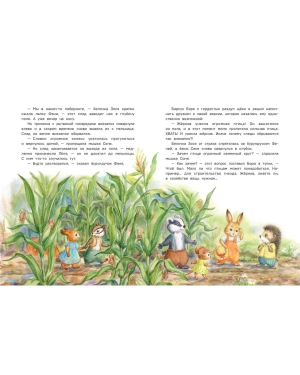 Дополнительное изображение книги «Похищение в кукурузном поле»