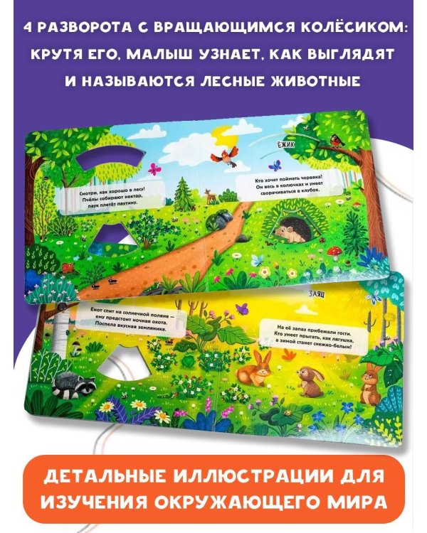 Лесные зверята