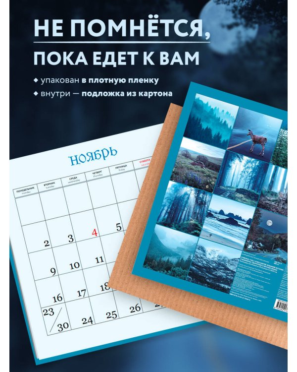 Сумерки. Год с атмосферой любимой истории о вампирах, оборотнях и вечной любви. Календарь настенный на 16 месяцев на 2026 год (300х300 мм)