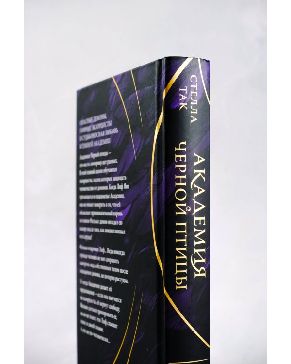 Академия Черной птицы. Уничтожить тьму