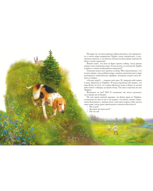 Золотой луг. Рассказы о животных (ил. Дударенко)