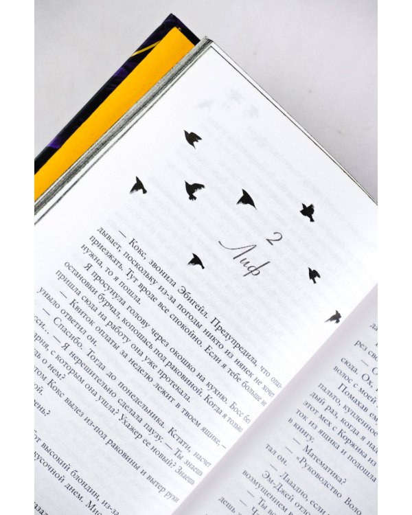 Академия Черной птицы. Уничтожить тьму