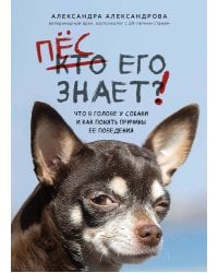 Пес его знает! Что в голове у собаки, и как понять причины ее поведения