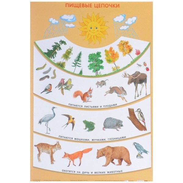 Обложка книги «Пищевые цепочки (Плакаты)», ISBN 9785431506390