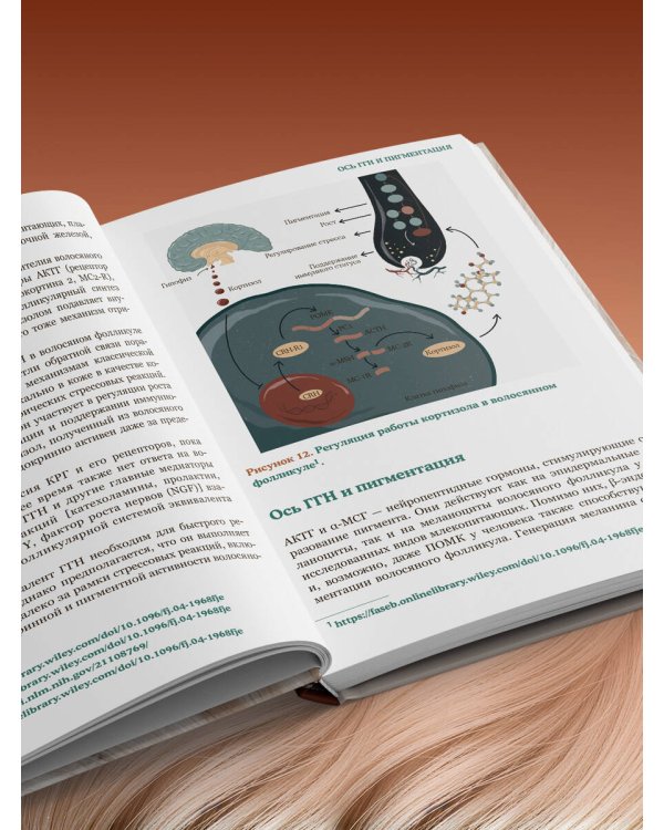 Волосы. Иллюстрированное пособие для врачей, трихологов и парикмахеров