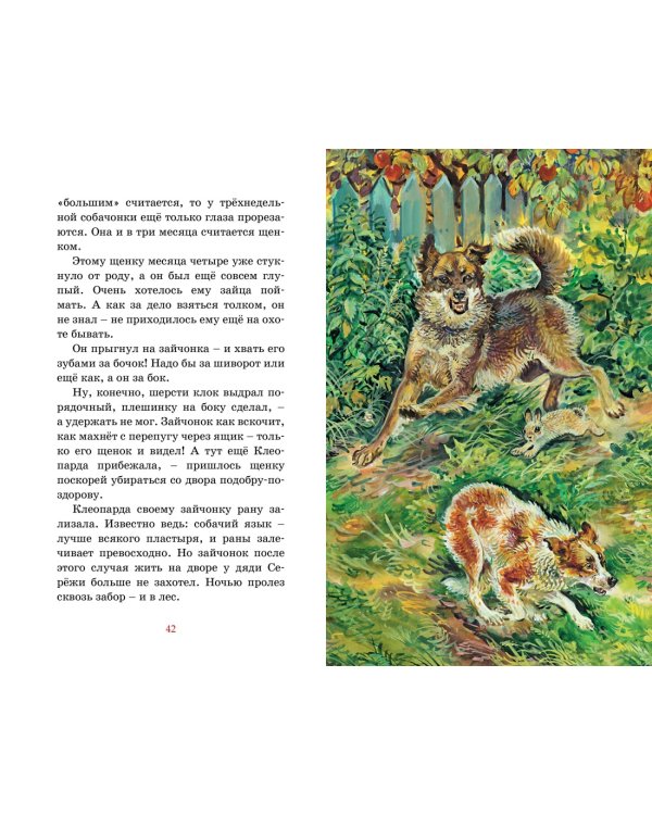 Рассказы о животных