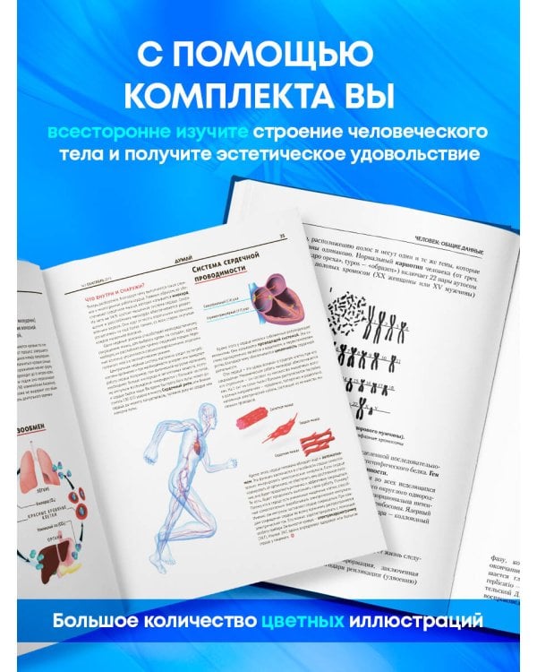 Комплект: книга Атлас по анатомии + журнал "Думай"
