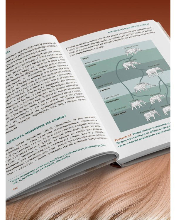 Волосы. Иллюстрированное пособие для врачей, трихологов и парикмахеров