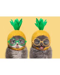 Алмаз.мозаика (блест.)  30х40 см, на картоне с част. заполн.(20 цв.) КОТЯТА В ШАПОЧКАХ (Арт. ASA017)