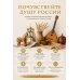 Дополнительное изображение книги «Русская культура. История и настоящее»