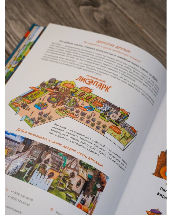 Рыжая долина. Станция Лисавецкая