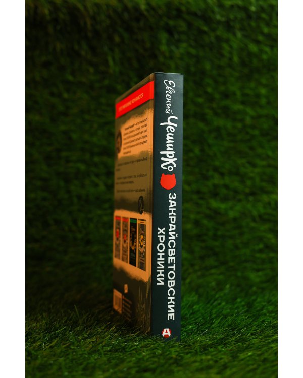 Дополнительное изображение книги «Закрайсветовские хроники»