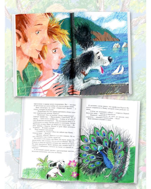 Кыш и я в Крыму