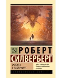 Человек в лабиринте