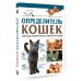Самый полный определитель Определитель кошек. Физические характеристики и особенности породы